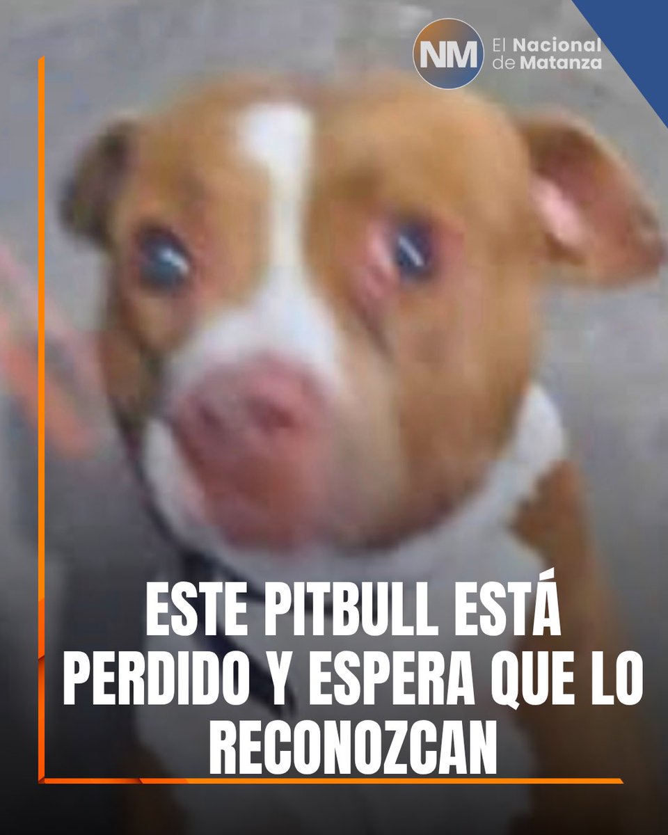 El Nacional de Matanza tweet media