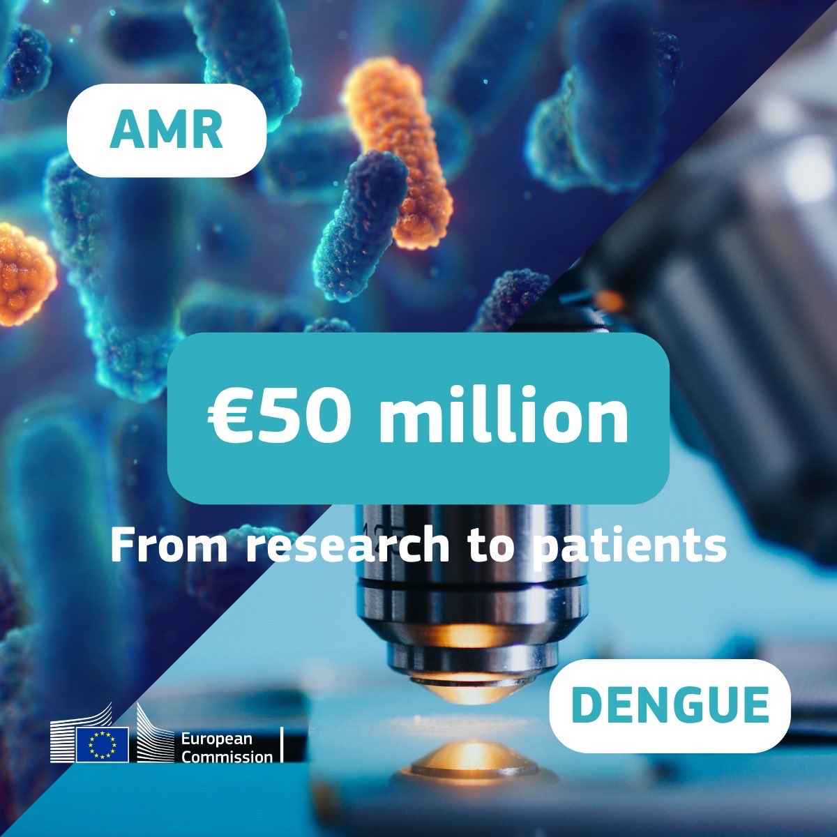 Hadja Lahbib tweet media