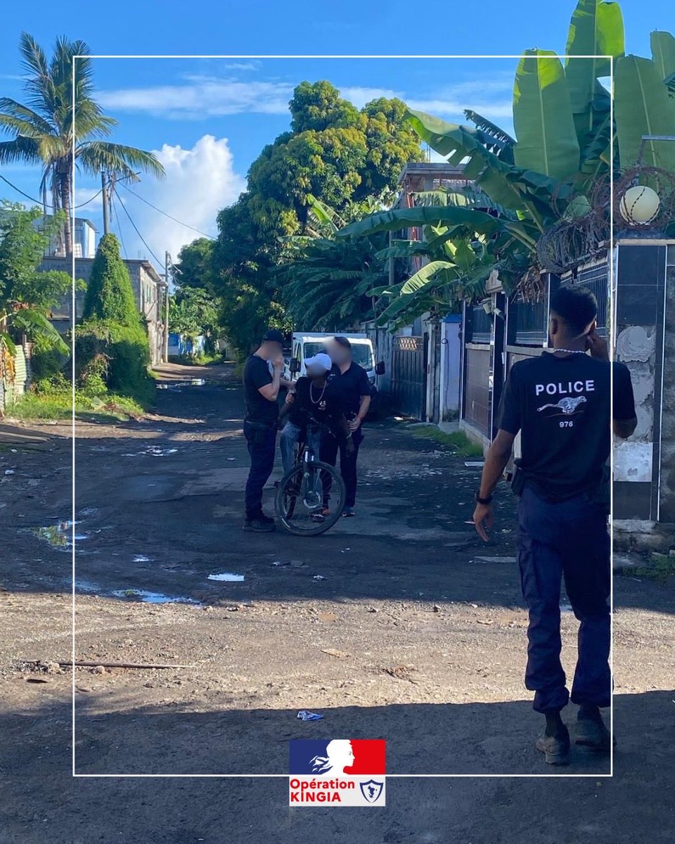 Préfet de Mayotte tweet media