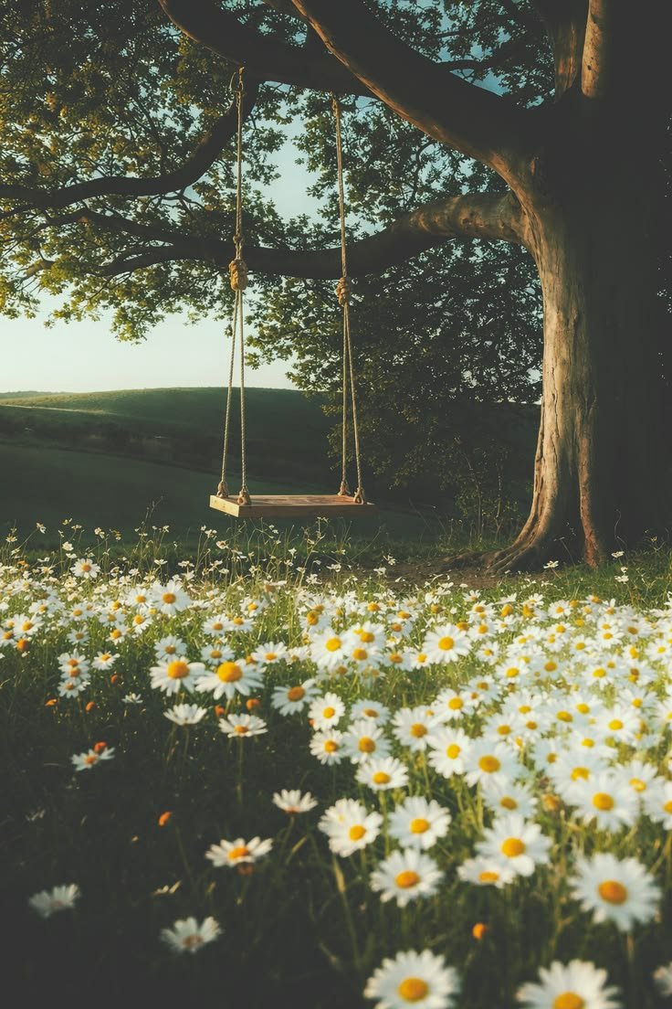 serenity tweet media