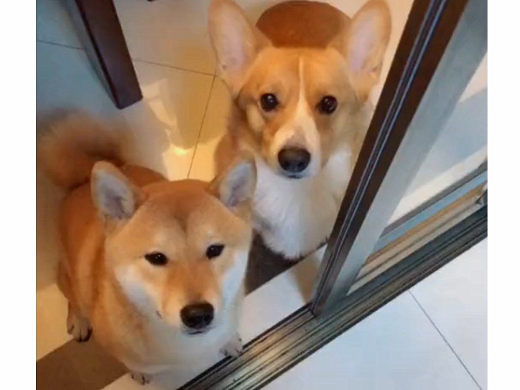 จุลจักร จันทร์คง tweet media