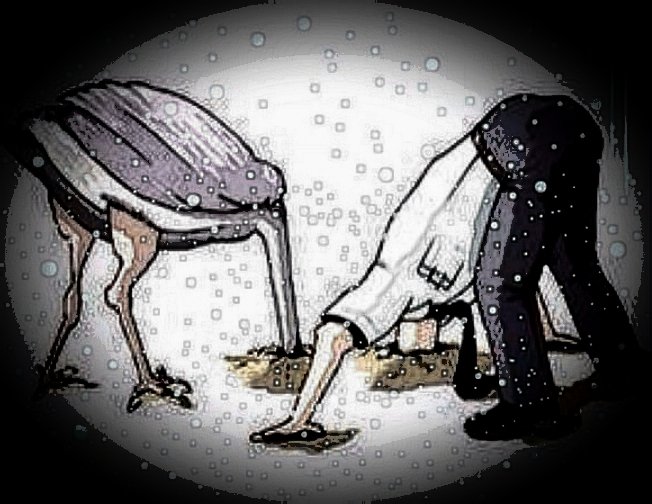 MammadEffect tweet media