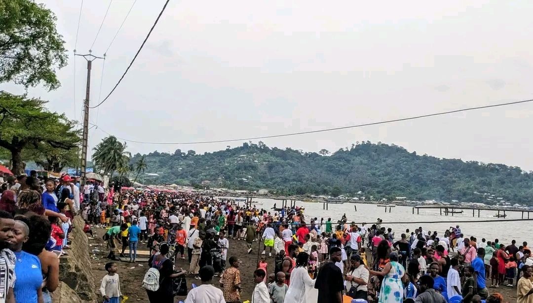 MMI News tweet media