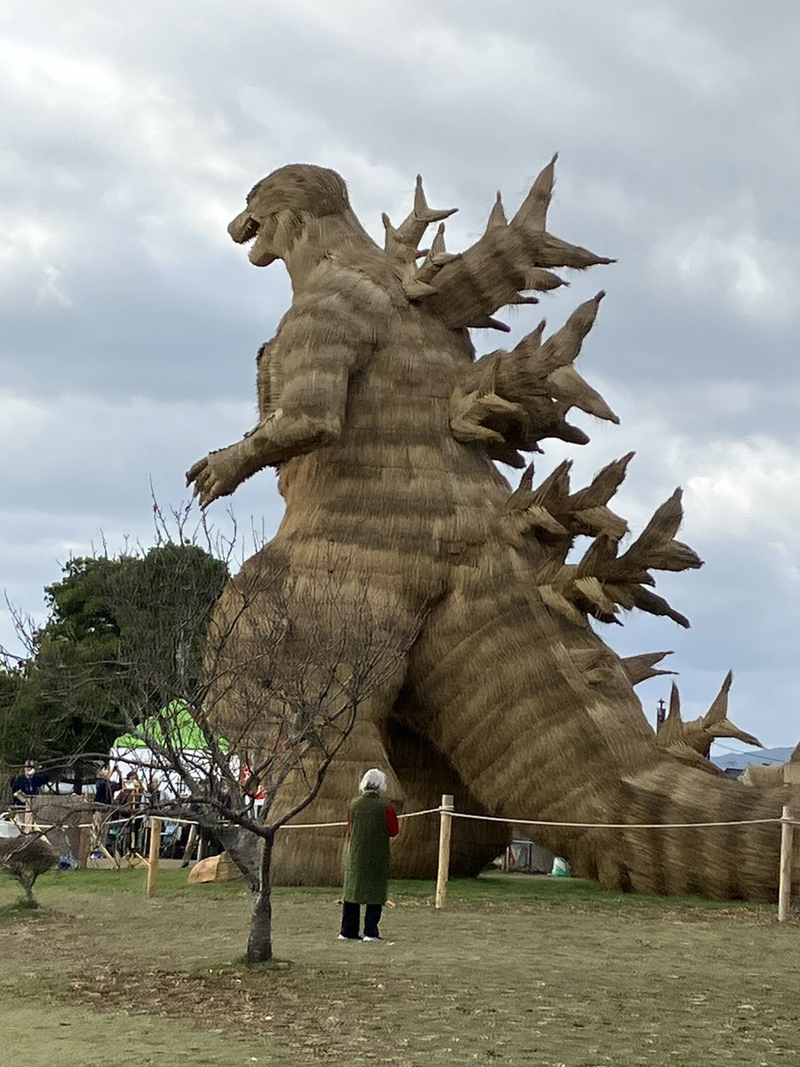 キャップＭｒ２ tweet media