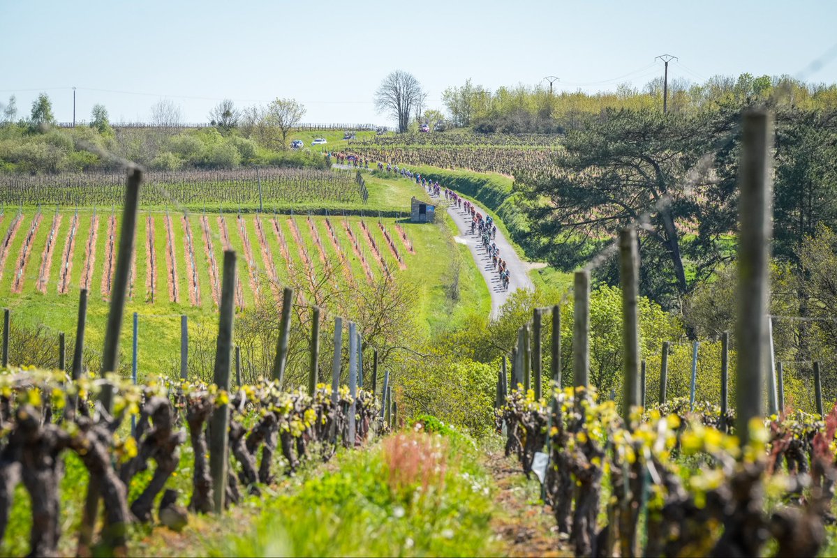 Christelle MORANÇAIS tweet media