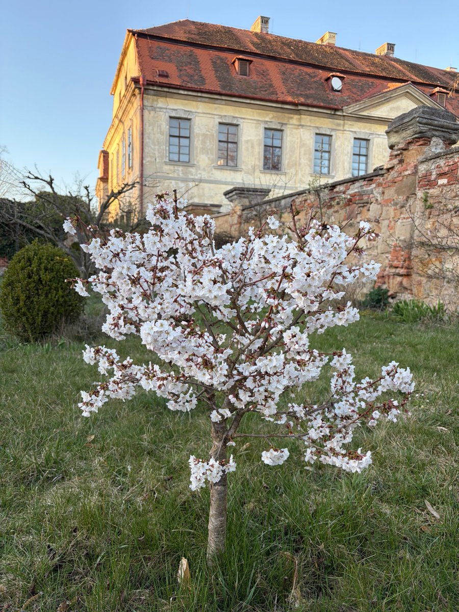 Vladimír Lobkowicz tweet media