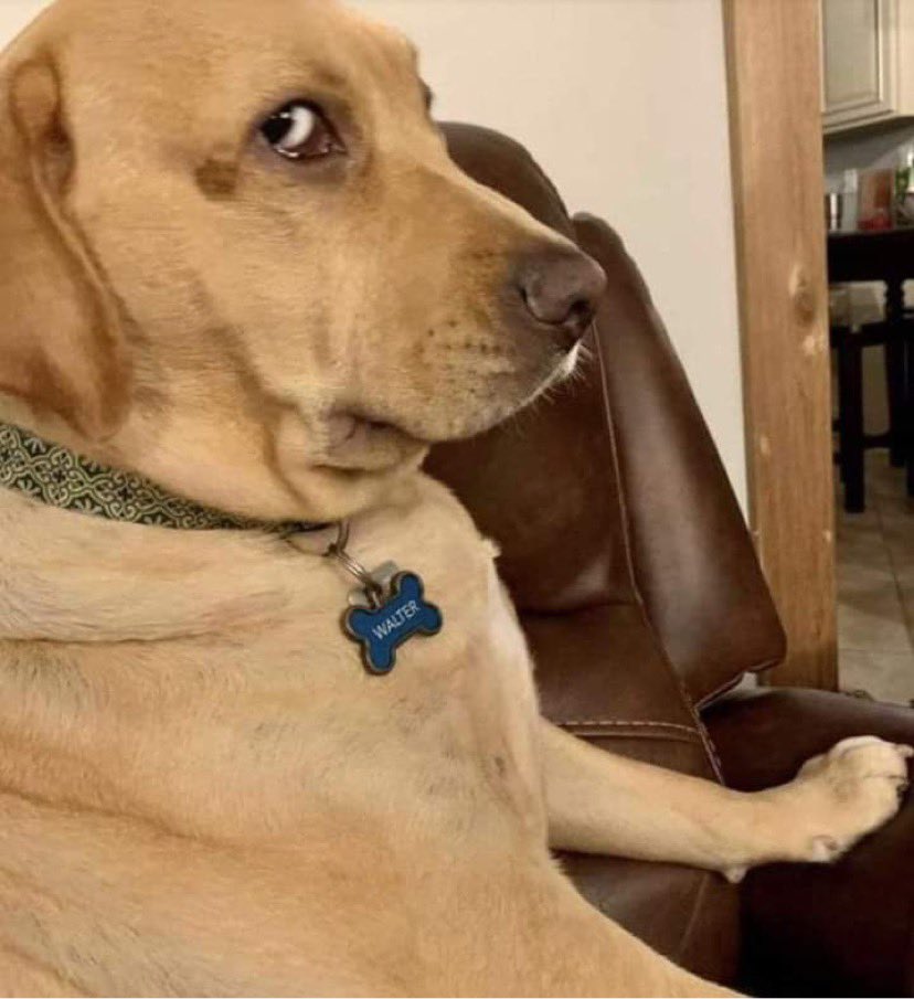 Π🅰️Σ🆗οΣ🔞 tweet media