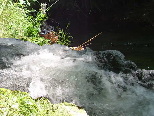 _SNRLAB_ tweet media