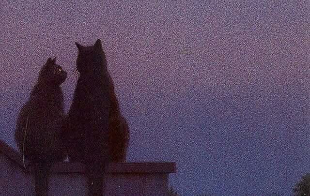 جذبات قیمتی ہوتے ہیں، اور جو اِن کی قدر نہ کرے اُس پر یہ سرمایہ لُٹانا خود سے ناانصافی ہے!🤎