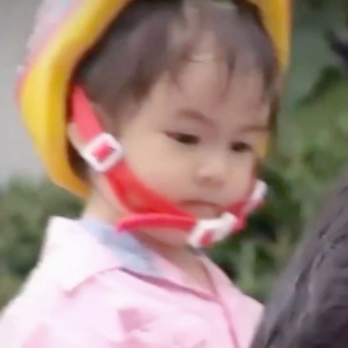 yippee ˙Ⱉ˙ tweet media