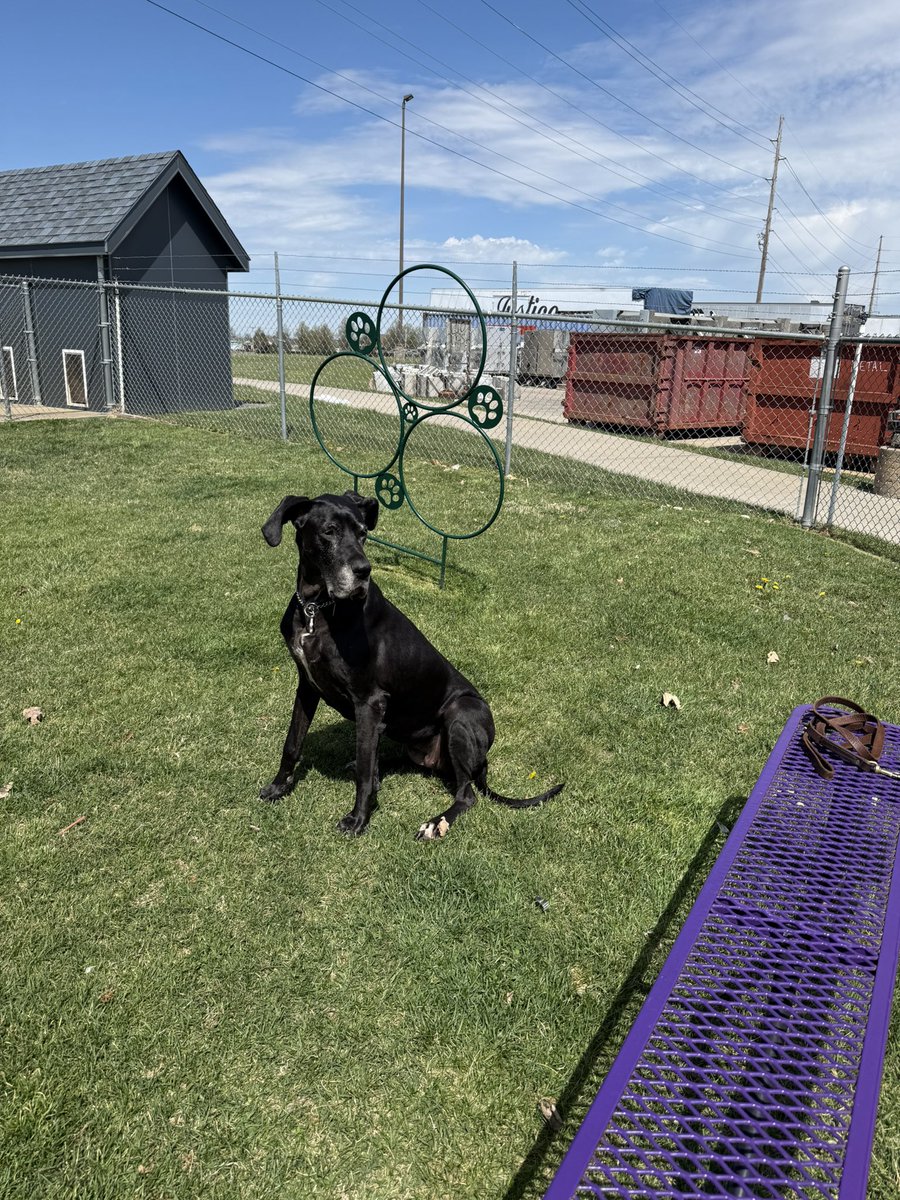 Steven Powell ✝️🇺🇸🚛🏳️‍🌈 tweet media