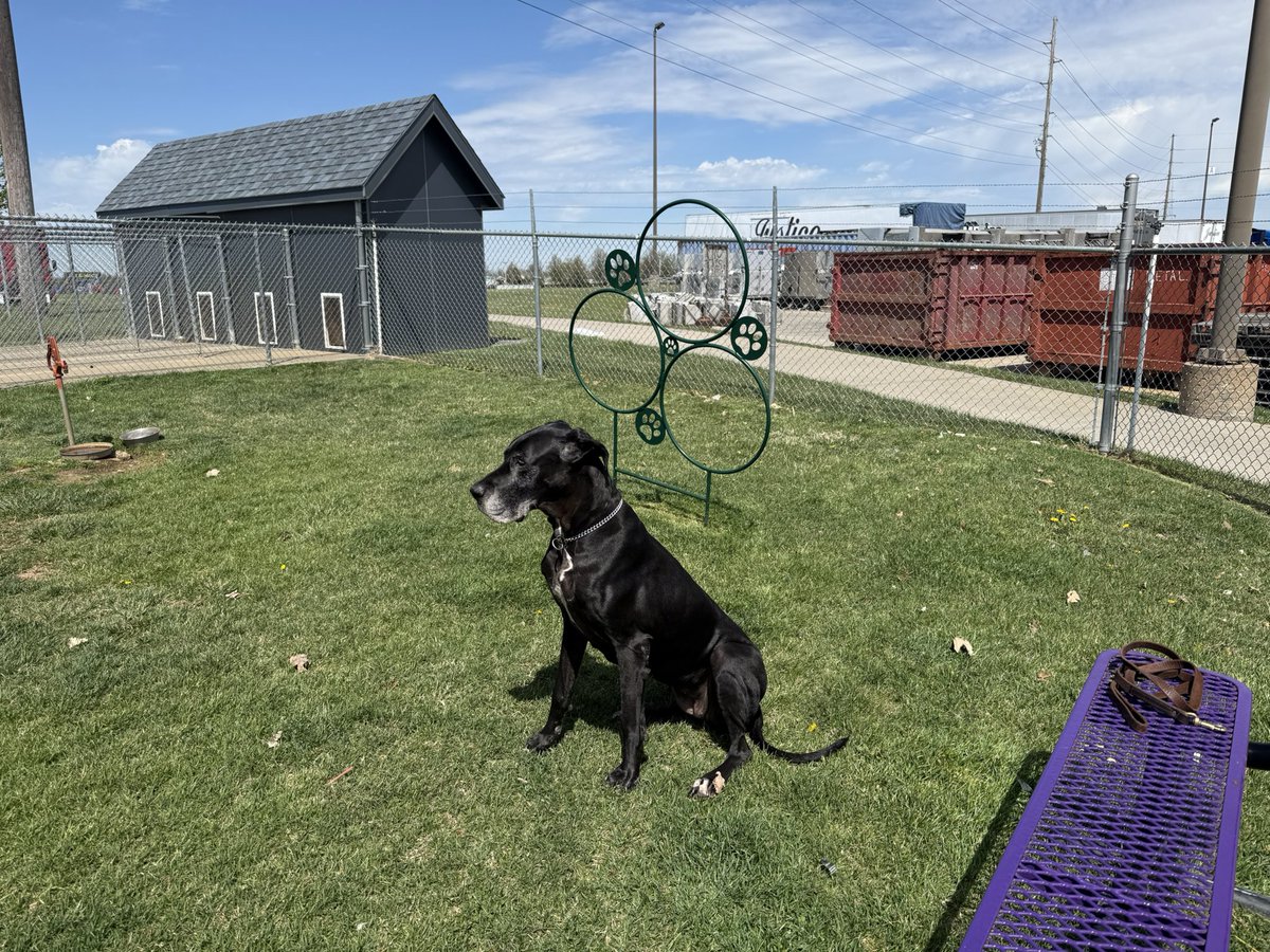 Steven Powell ✝️🇺🇸🚛🏳️‍🌈 tweet media