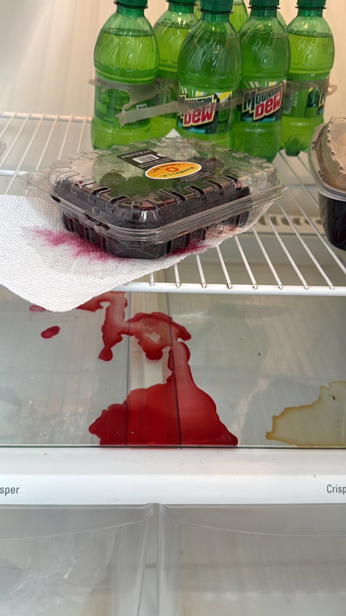 🐌 $ANi ़ 🪐 tweet media