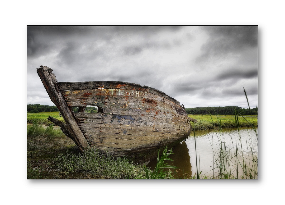 Cy Gryph tweet media