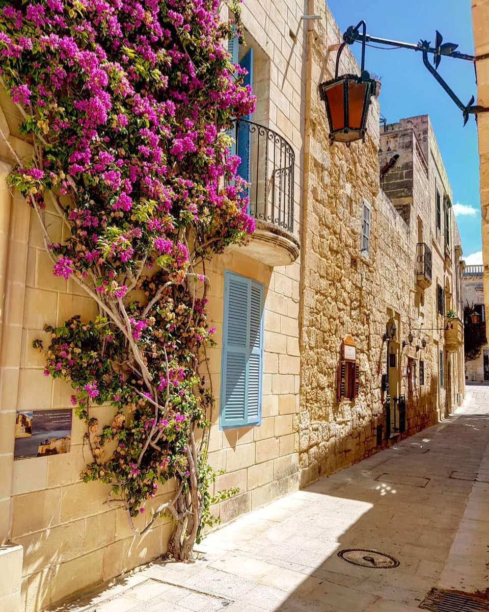 VisitMalta's tweet image. Time to explore the streets of Mdina! 🌸😍  [📸 bit.ly/42sRxL6] 
#VisitMalta #Malta #explore #Streets #Travel #Exploremore