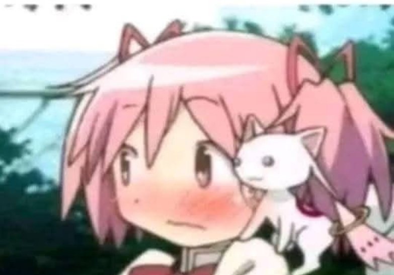 Miwut🚬𓆟 tweet media