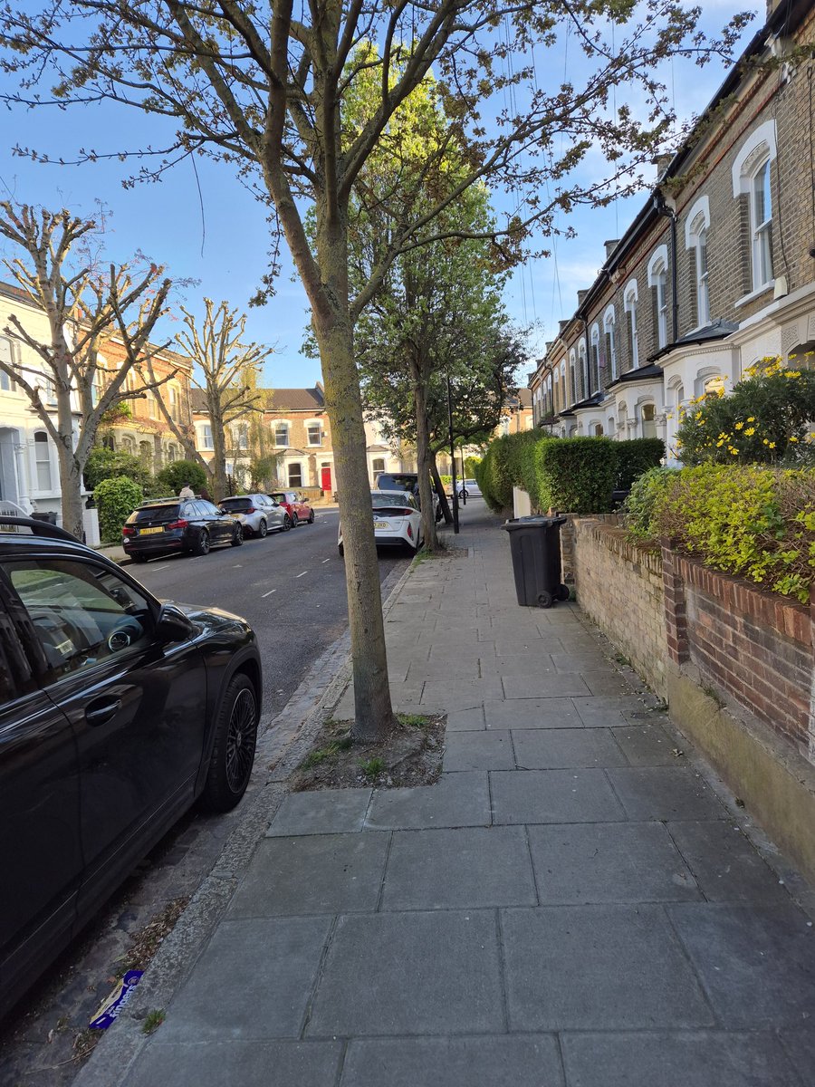 Fun With Flares tweet media