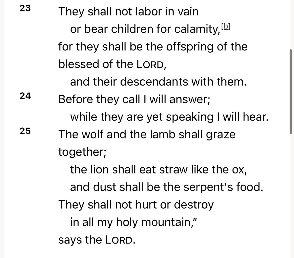 Warrior Priest Blog tweet media