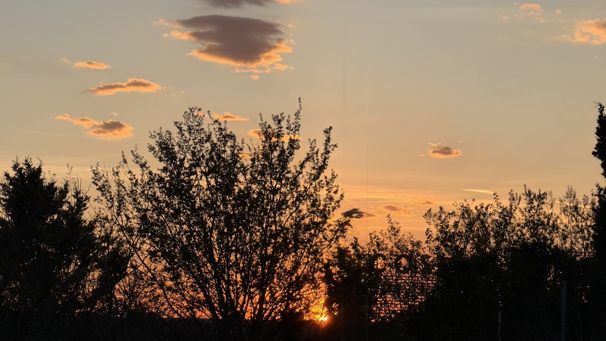 🌸Candy Terry Rose🌸 (Stella) tweet media