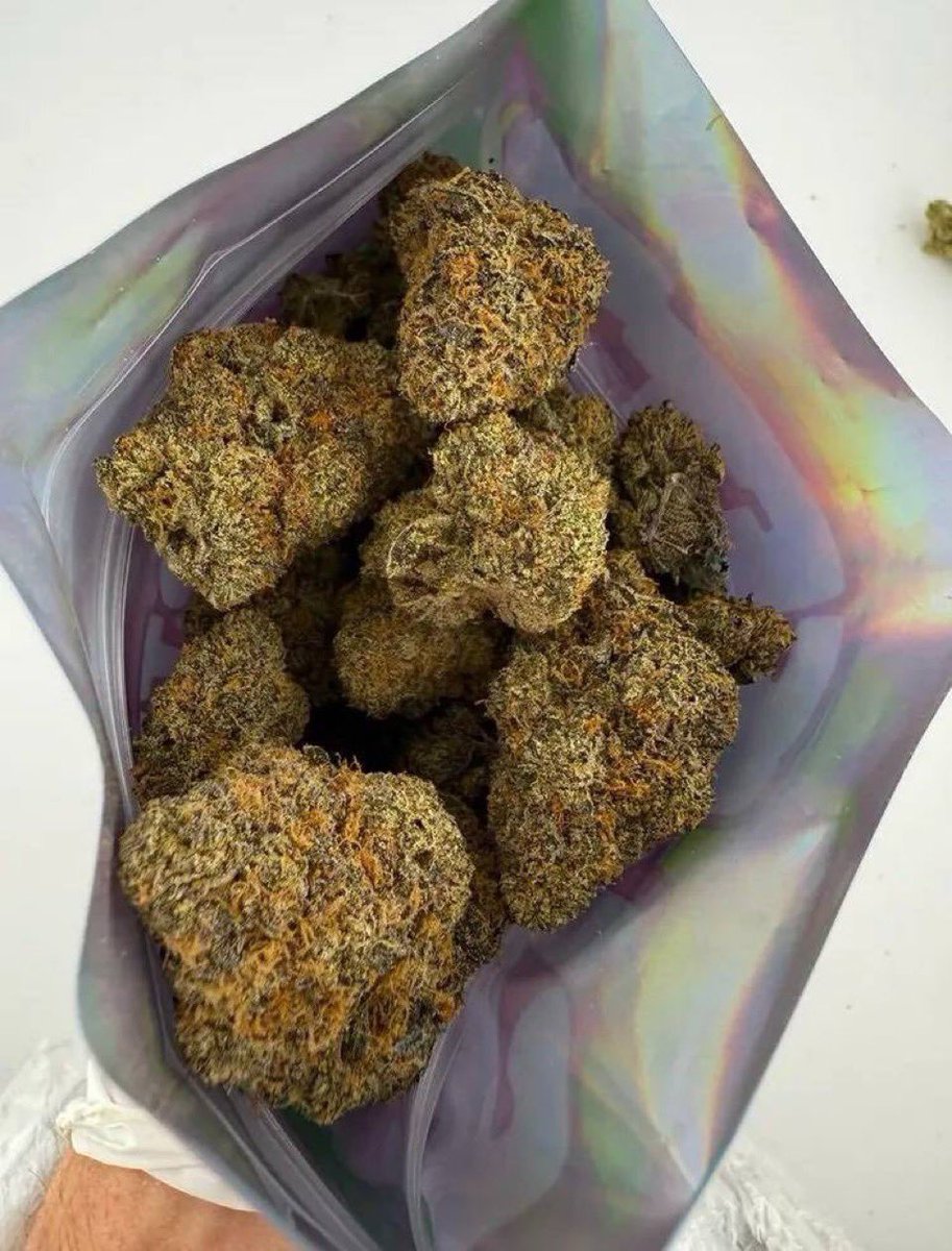 weed___paris_'s tweet photo. TOP SHELF INDOOR EXOTIC CANDY 🍭WEED REAL ZAZA Cali kush gas
ZA in Los Angeles dope hemp Weed in New York City Madrid Weed in Seattle weed in Houston Atlanta Detroit weed in Philly Israel Biden Gaza Weed in London Uk Birmingham weed in Chicago  Tele: https://t.co/Fj2Eav0n41 https://t.co/B0KGmfzyoY