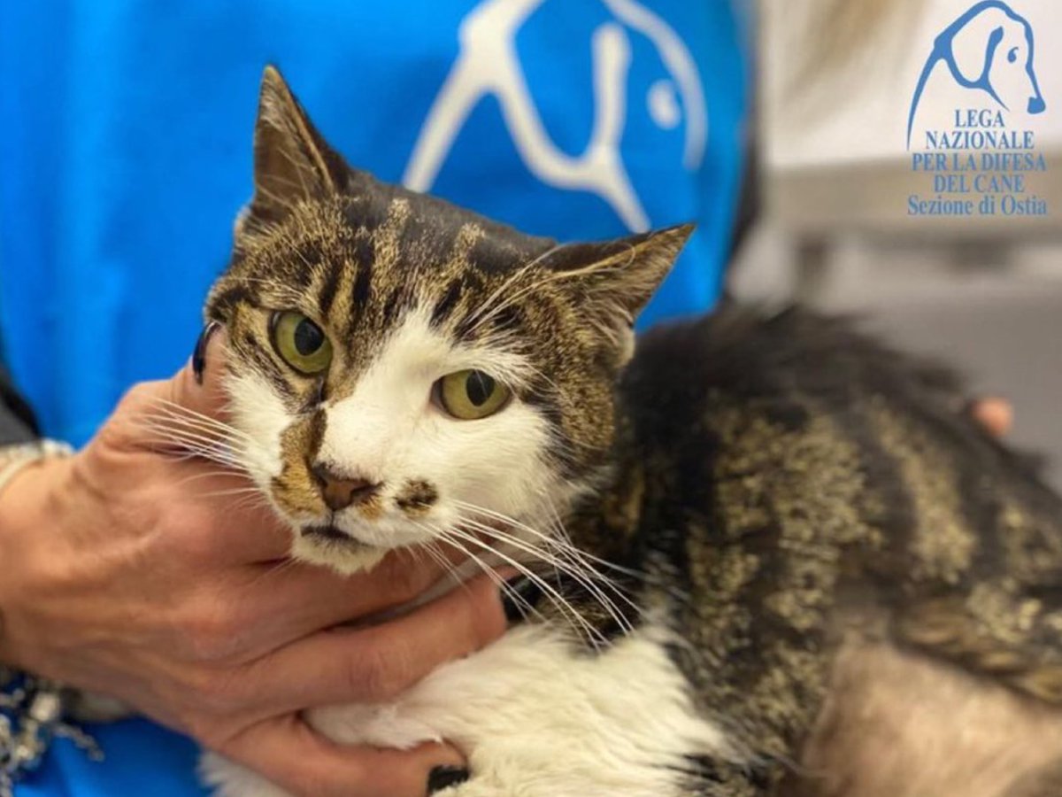 Elisabeth R! 🇫🇷/2027/Remigration Totale✈️✈️ tweet media