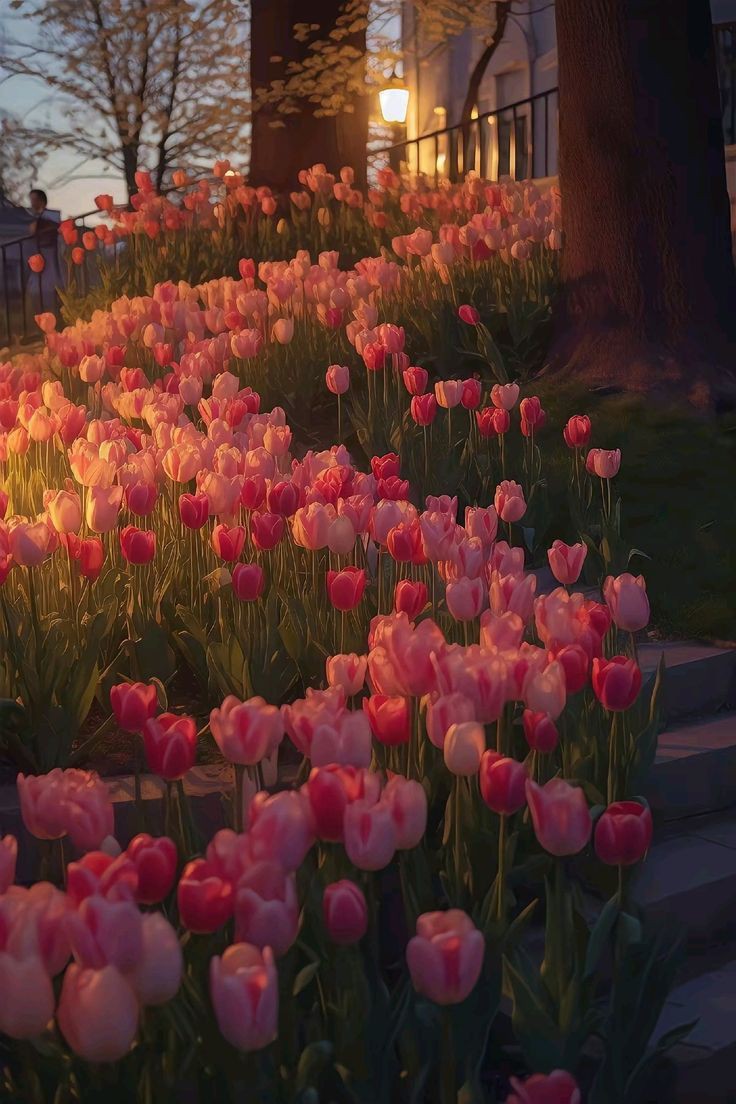 tutututututulip's tweet photo. https://t.co/nu5xnOtGiS