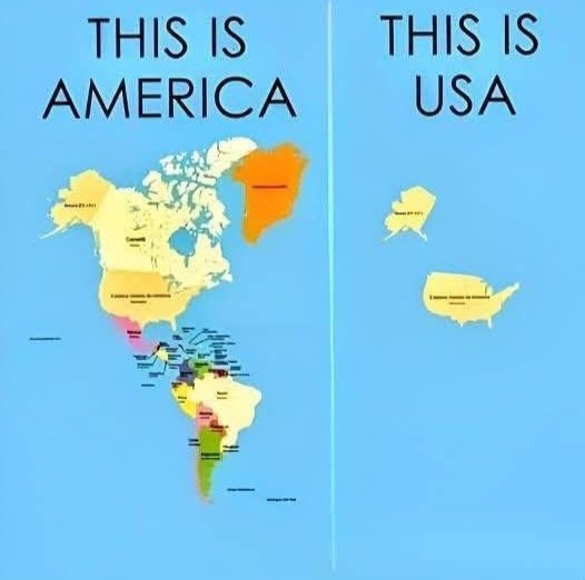 °DRAW FURR° tweet media