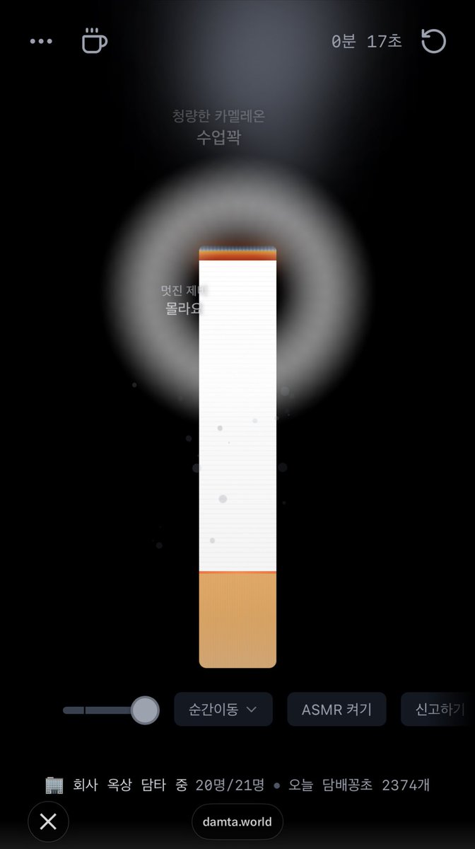 양송이(상태:일예와취케팅) tweet media