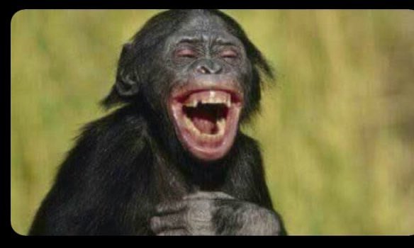 You leave 10k ( home) for kameza money en you expect kids to resemble you bro 😂😂…. Mulina omuzanyo munji kaleeee 😂😂