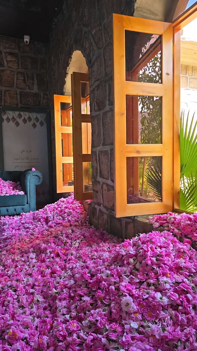 عناوين الطائف tweet media