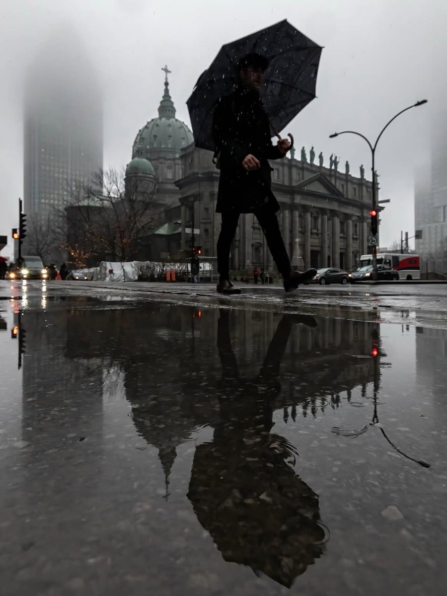 Montreal's tweet image. We're cute, even in the rain. 😌

📷 arcpixel #montreal