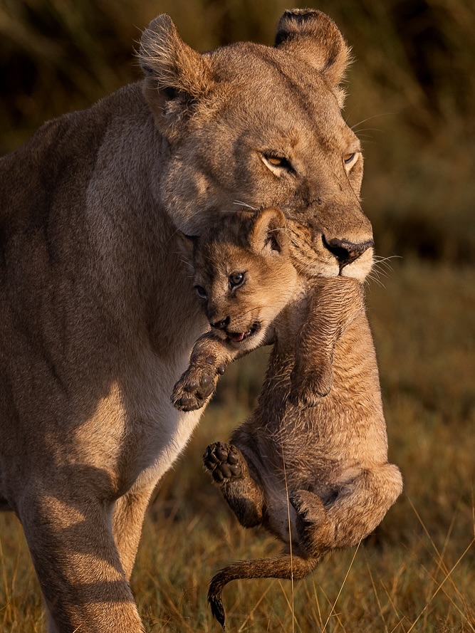 philipArts tweet media