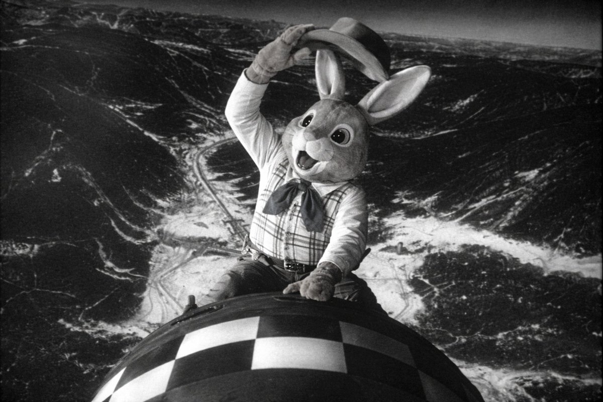 Regan MARKLE tweet media