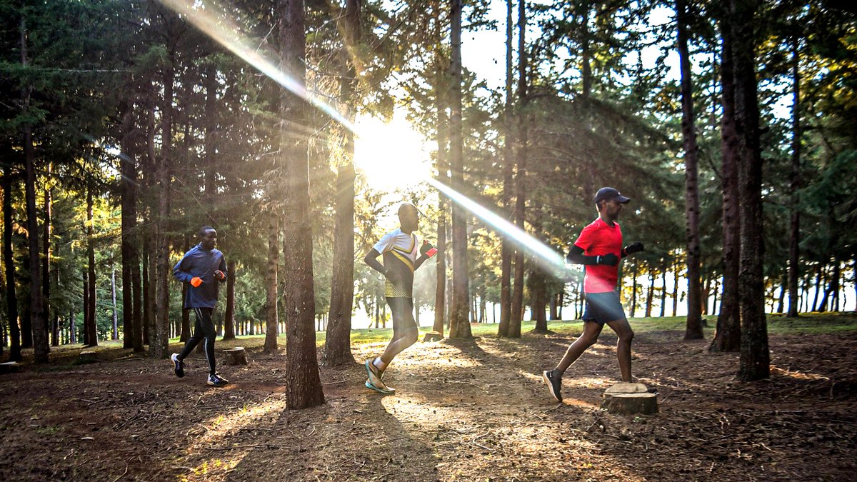KenyaCamp_iten's tweet image. Whether you're a beginner, a marathoner, or someone looking for a reset
👉 Full travel &amp;amp; running guide:
kenya-camp.com/iten-kenya-run…

#ItenKenya #HomeOfChampions #RunKenya #RunningCulture #AltitudeTraining #RunnersLife #MarathonTraining #TravelWithPurpose #KenyaExperience #RunTheWorld