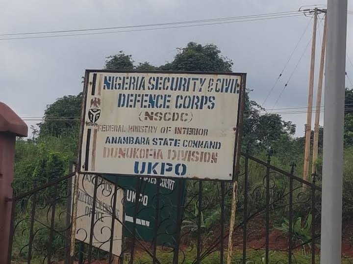 𝕯𝖊𝖋𝖊𝖓𝖉𝖊𝖗🛡️🇳🇬 tweet media