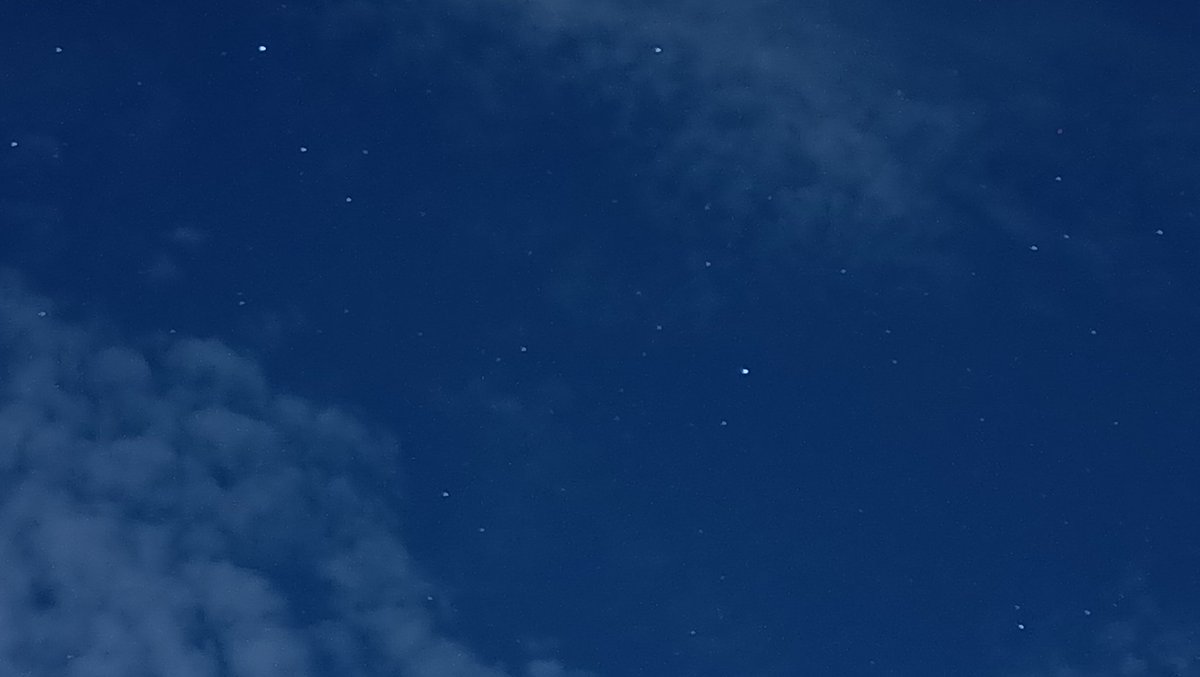 orellyyy tweet media