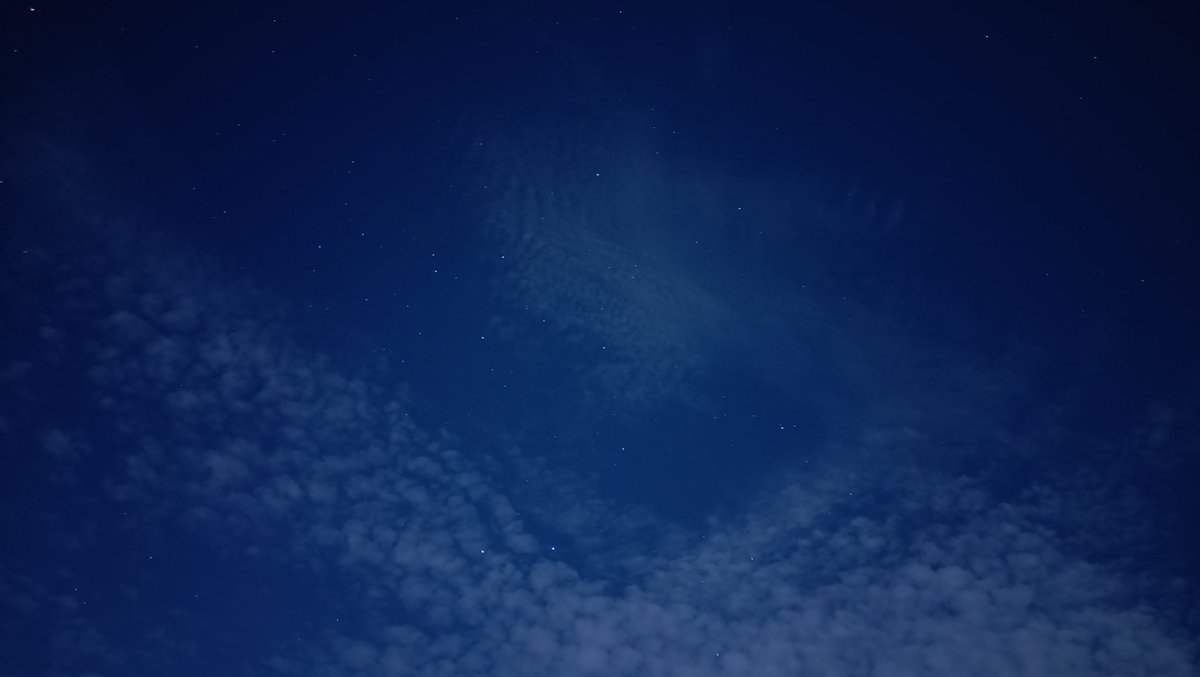 orellyyy tweet media