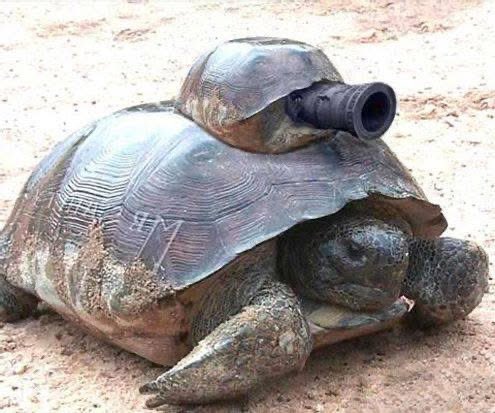 Nekoc sem imela desnosucno politicno nastavljeno urednico, ki je od mene zahtevala, da napisem prispevek o eko-tankih 😳

Po zacetnem smejanju so moji fantje iz SV poslali sliko s pripisom: “sicer malo onesnažuje, je pa amfibijski” 😂😂