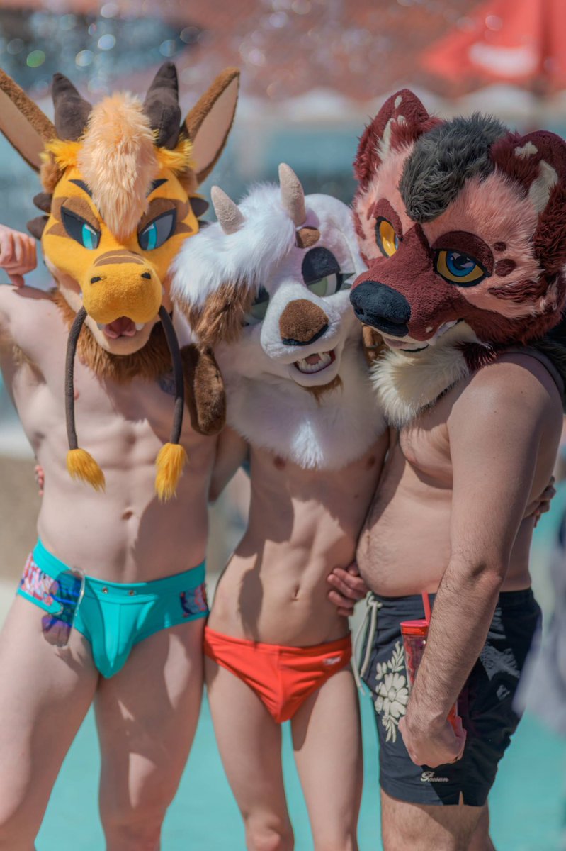 Gori 🔜 Furlandia tweet media