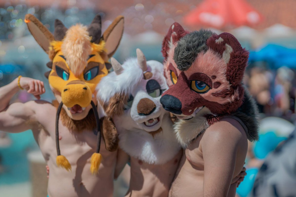 Gori 🔜 Furlandia tweet media