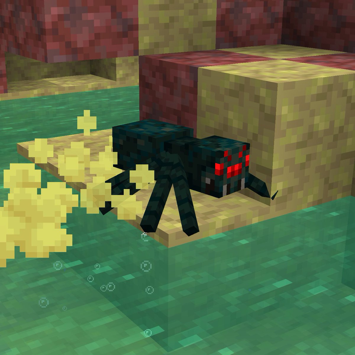 wattles 💎 tweet media