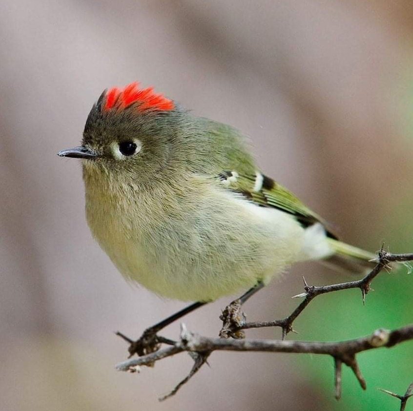 Allah çok güzel yaratmış...
