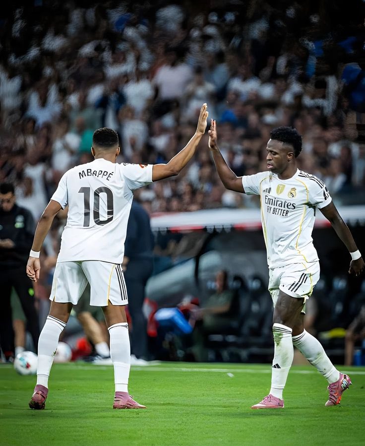 عمرو tweet media