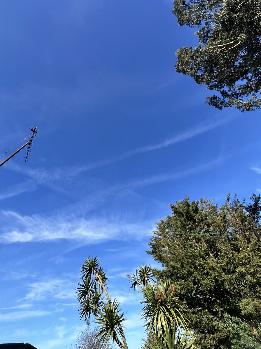 Paul Harding 🏴󠁧󠁢󠁥󠁮󠁧󠁿 Enough Is Enough tweet media