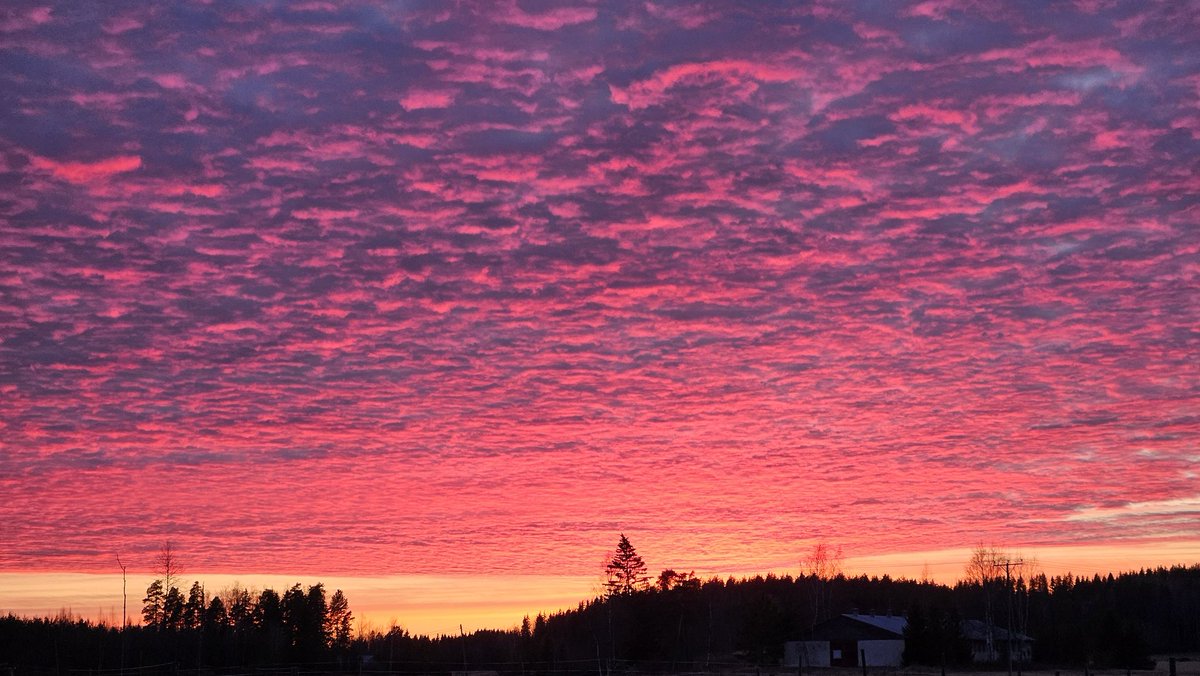 KrossHill tweet media