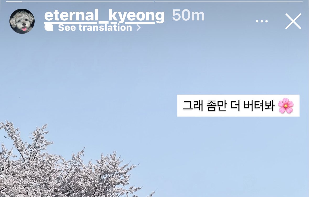 wes 🐰 tweet media