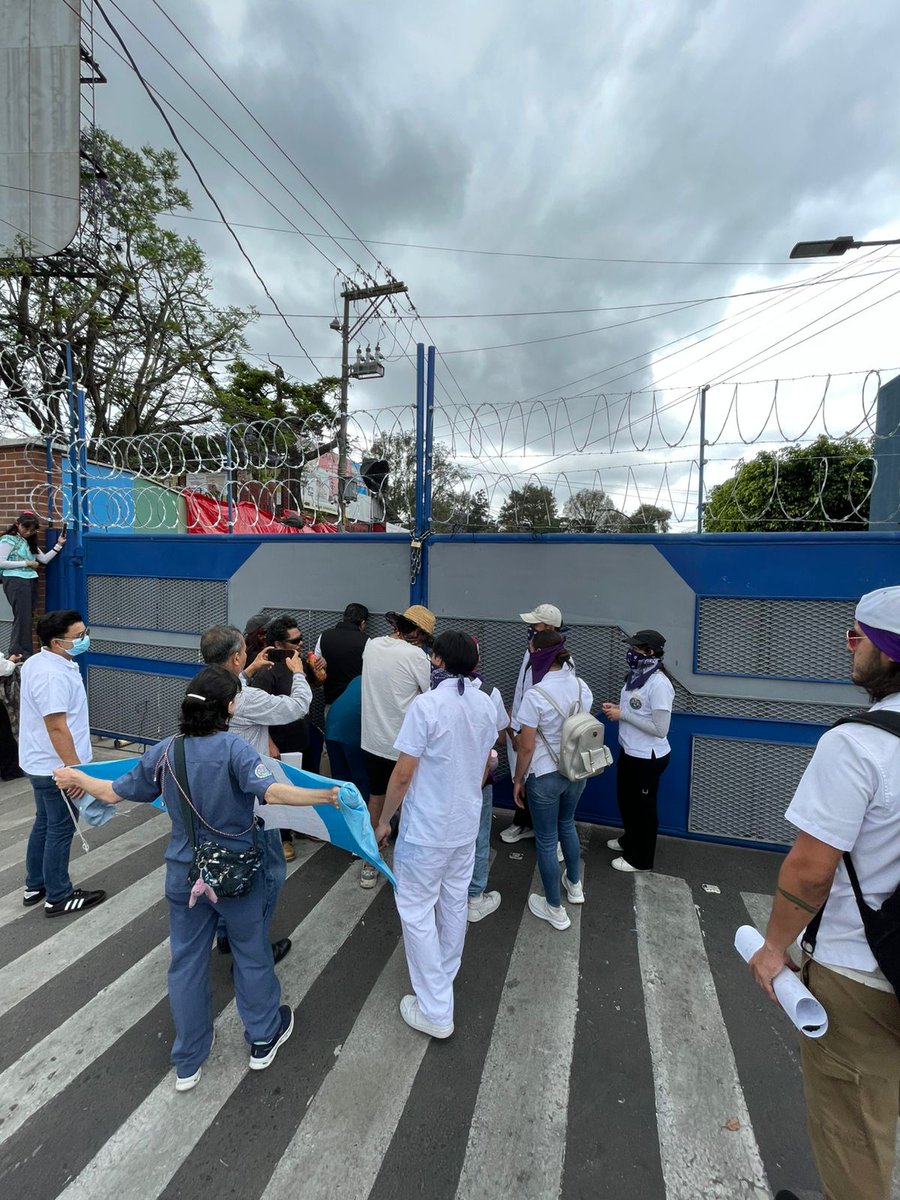 Festivales Media tweet media