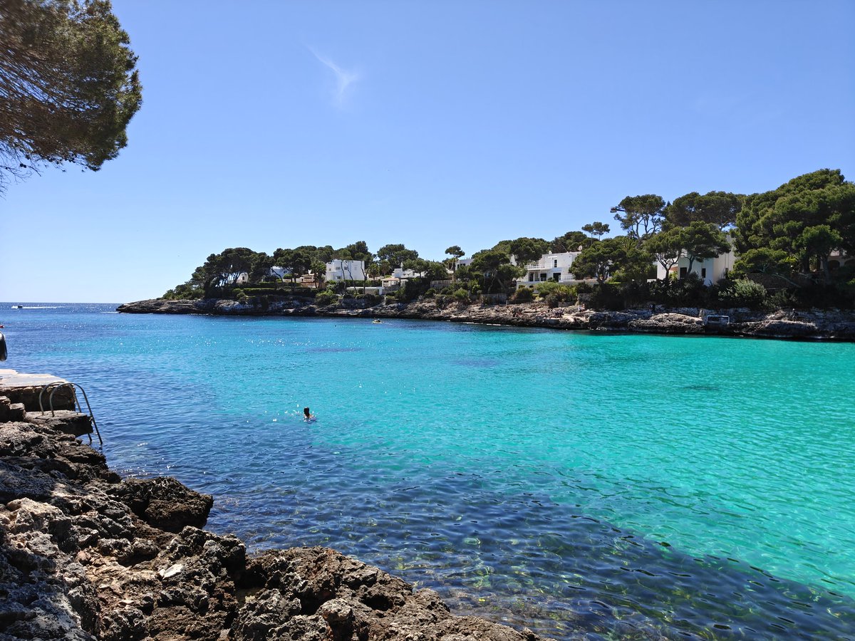 bertus241_off's tweet photo. Aujourd'hui 🏝️ :

Retour de vacances après 5 jours au soleil ☀️, 0 diète 🍔 et 0 sport 🏃‍♂️

#holidays https://t.co/BnZzZdD8qR