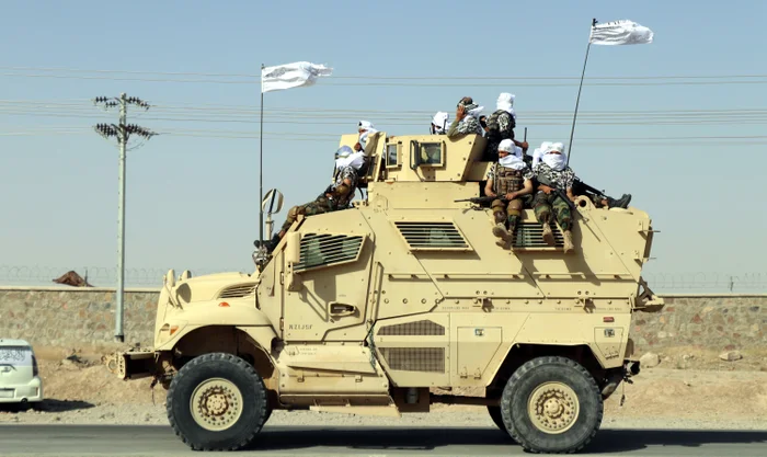 Brutal Truth Bombs tweet media