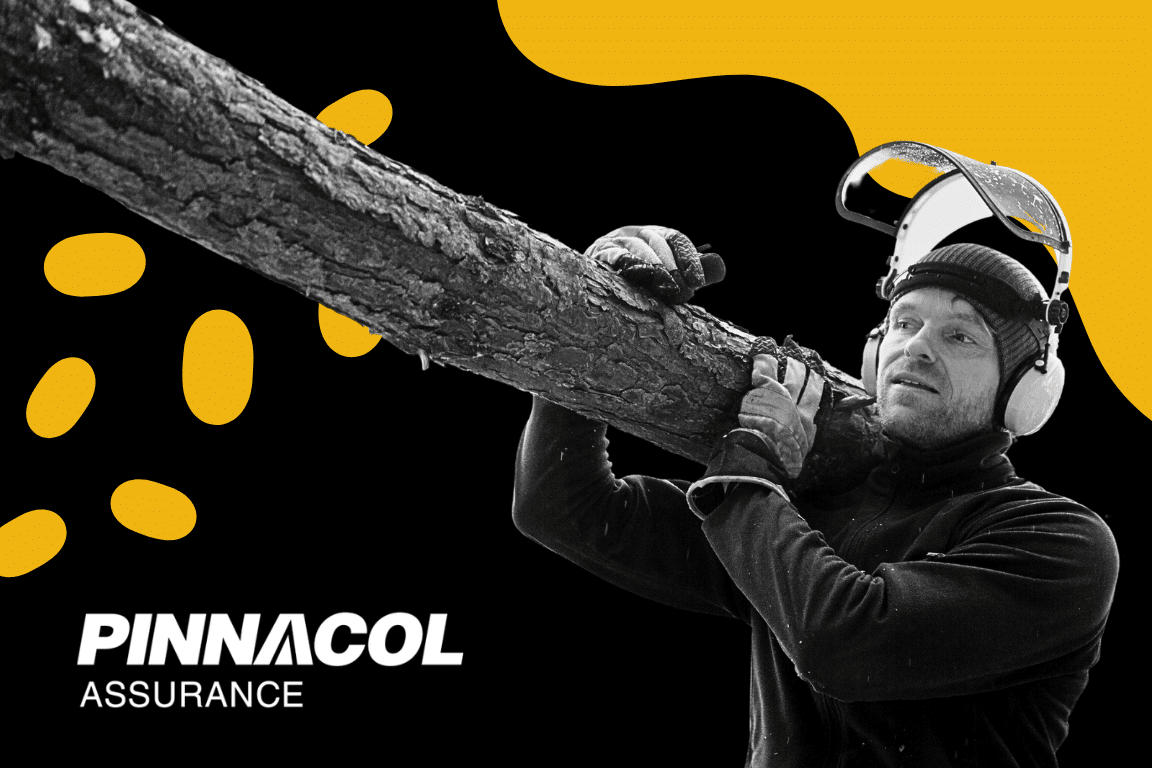 Bell Policy Center tweet media